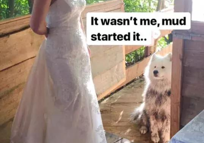 玩家测评“微信金花房卡如何购买”轻松获取房卡全渠道 玩家测评“微信金花房卡如何购买”轻松获取房卡全渠道