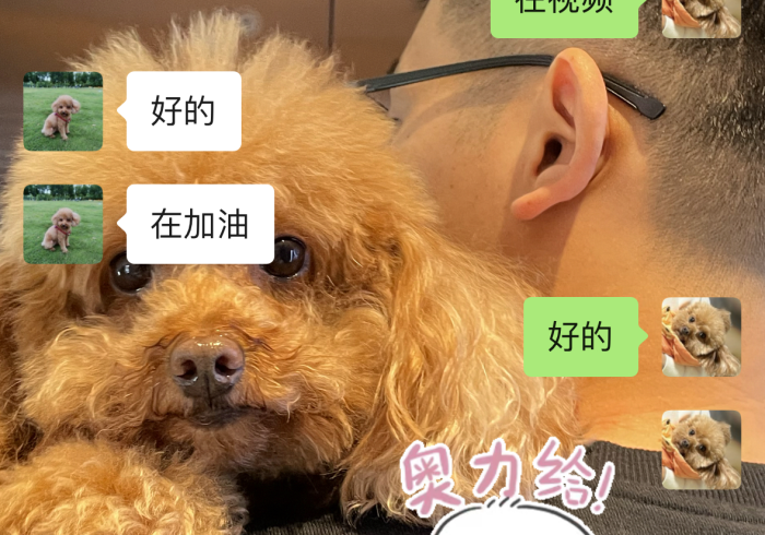 全攻略普及“微信链接大厅牛牛怎么挂”获取房卡教程-哔哩哔哩