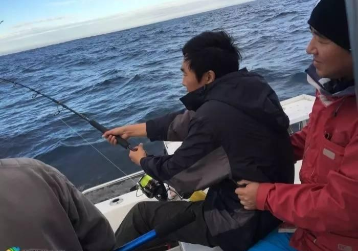 【 重 磅 来 袭 】 “ 新 道 游 插 件 是 不 是 真 的 ” ( 必 胜 开 挂 神 器 ) 【 重 磅 来 袭 】 “ 新 道 游 插 件 是 不 是 真 的 ” ( 必 胜 开 挂 神 器 )