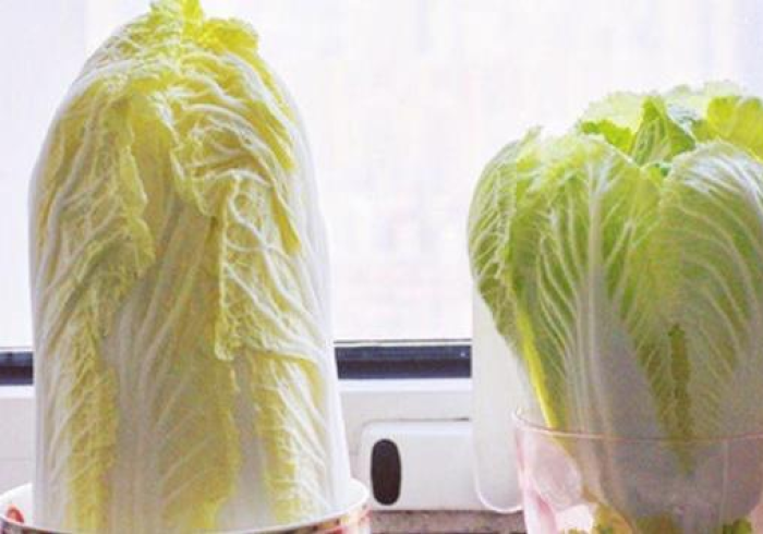 玩家测评“微信群牛牛房卡”详细房卡使用教程