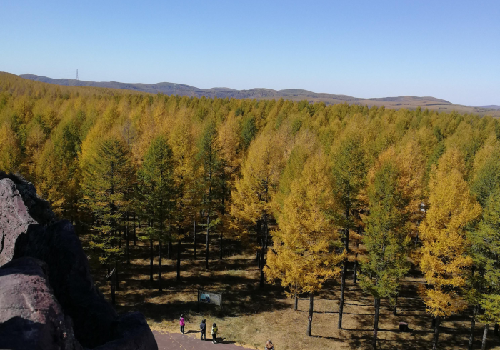 我 来 告 诉 你 ” 云 游 科 技 到 底 有 挂 吗 ” ( 详 细 透 视 教 程 )