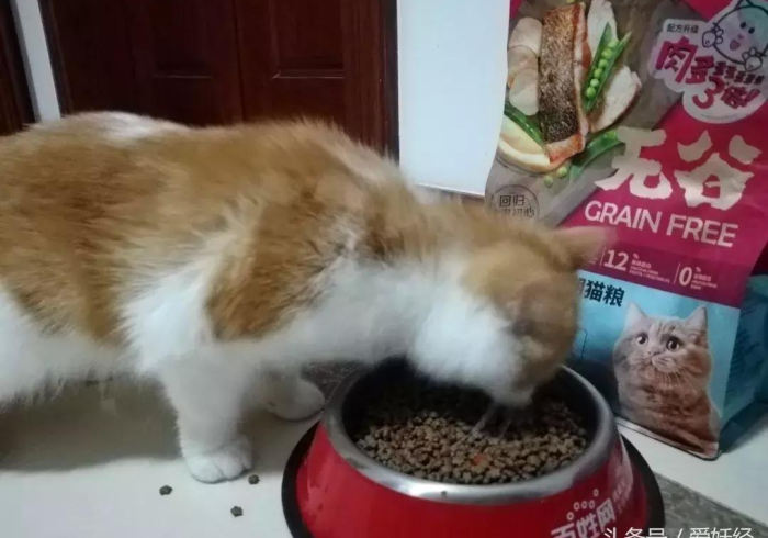 五 分 钟 了 解 欢 乐 谷 哪 里 有 挂 买 ” - 必 赢 神 器 安 装 五 分 钟 了 解 欢 乐 谷 哪 里 有 挂 买 ” - 必 赢 神 器 安 装