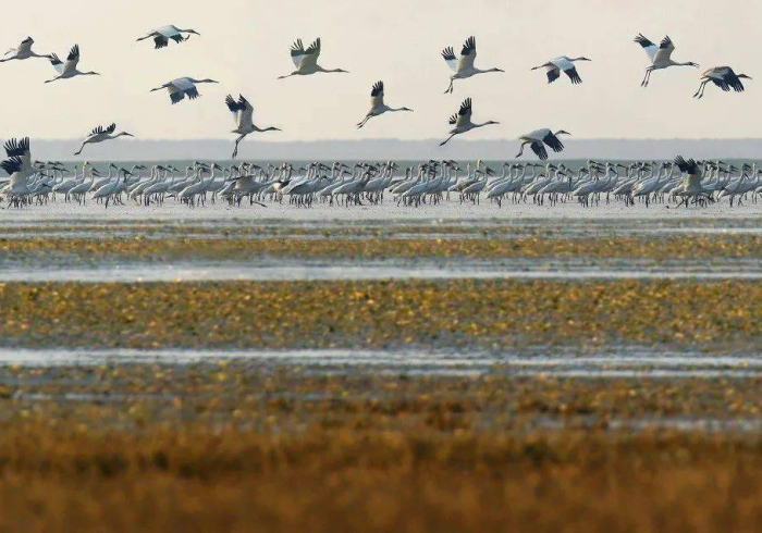 玩家测评“微信链接”房卡获取方式