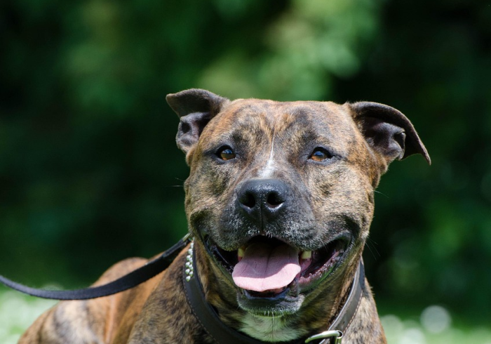 房卡秒懂“斗牛房卡牛牛房卡”房卡详细充值