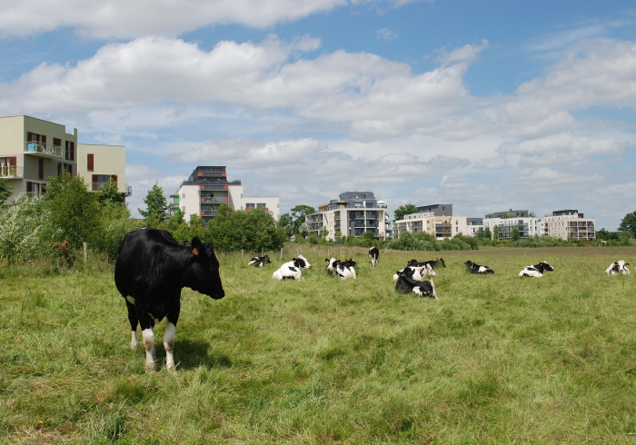 秒懂百科“微信牛牛群斗牛群”房卡获取方式 秒懂百科“微信牛牛群斗牛群”房卡获取方式