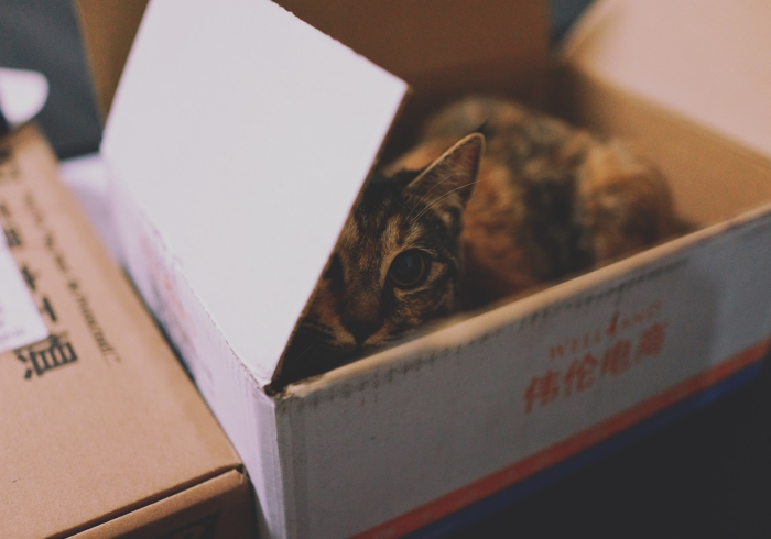 秒懂教程“新琉璃大厅牛牛金花房卡”购买房卡介绍 秒懂教程“新琉璃大厅牛牛金花房卡”购买房卡介绍