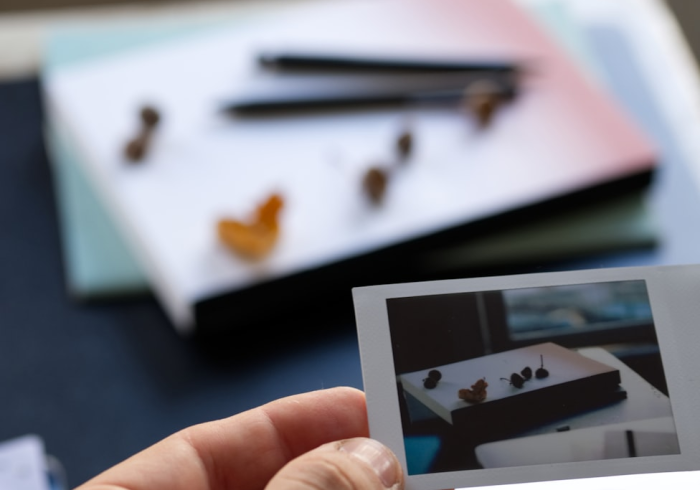 房卡秒懂“新道游牛牛透视挂免费”详细房卡使用教程