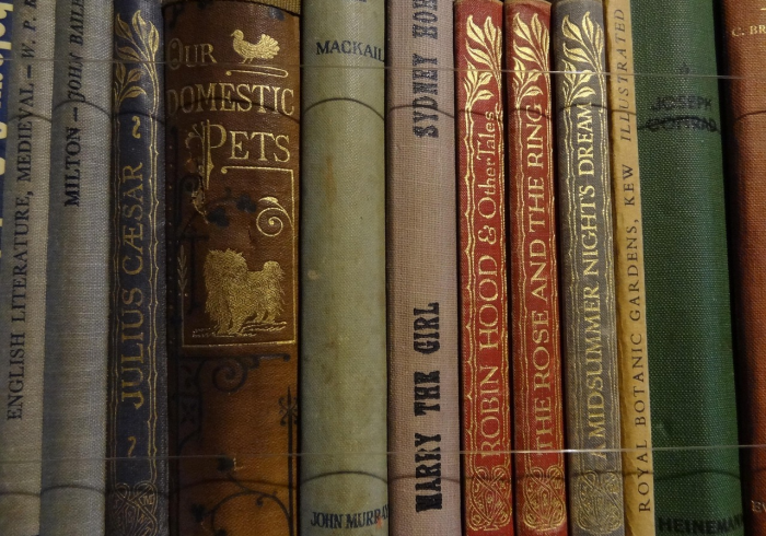 一分钟了解“微信牛牛房卡多少钱一张”详细房卡教程 一分钟了解“微信牛牛房卡多少钱一张”详细房卡教程